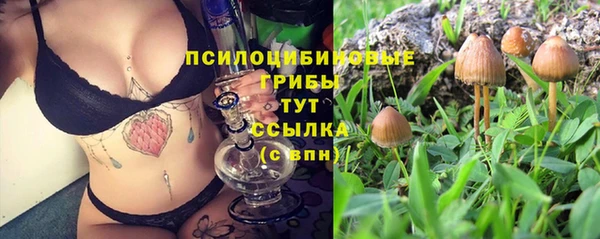 СК Алзамай