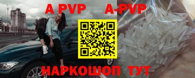 СК Моздок