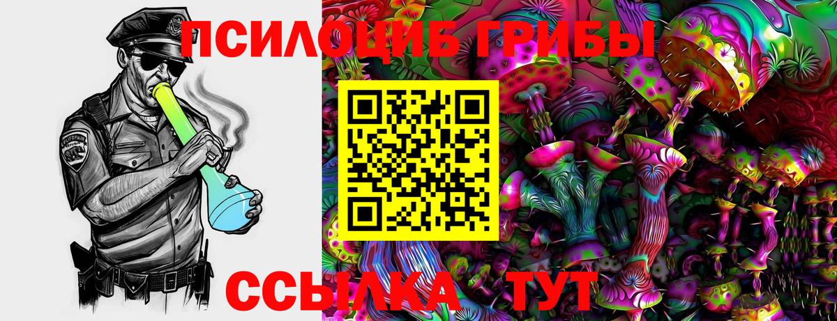 Галлюциногенные грибы мухоморы Солнечногорск