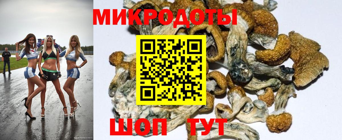 Солнечногорск  Псилоцибиновые грибы мухоморы  Вход с VPN 